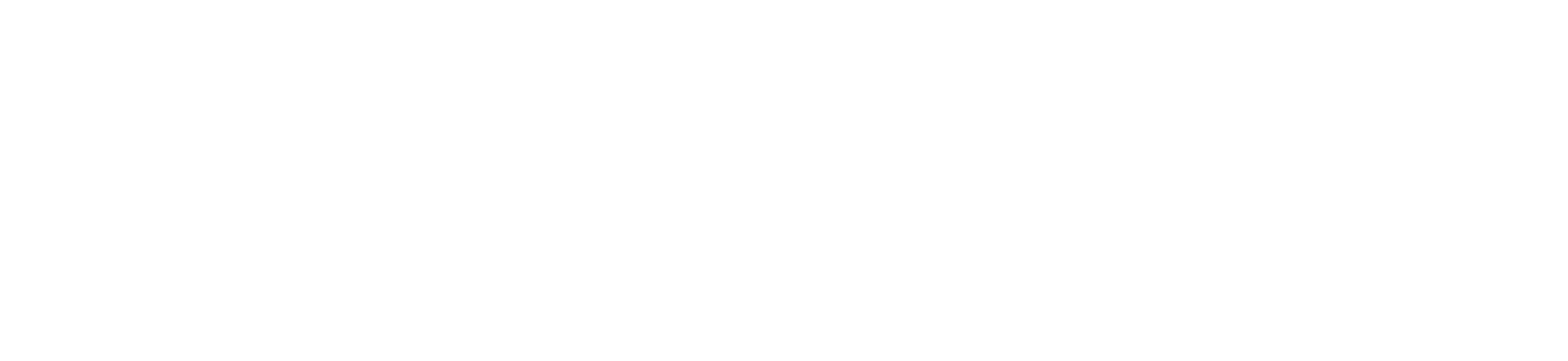 White Logo
